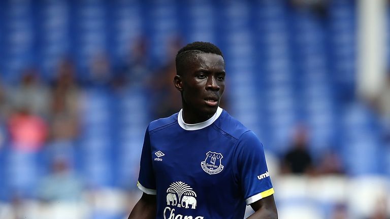 Idrissa Gueye has proven to be a shrewd signing by Everton