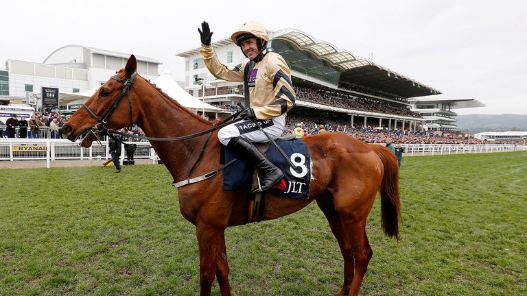 Yorkhill's second season as a chaser has proved to be very disappointing