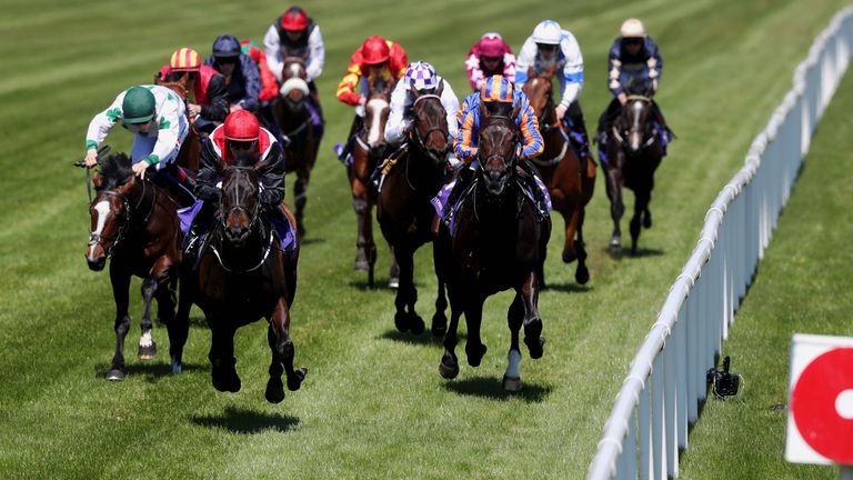 Brother Bear, favourite for the Coventry Stakes