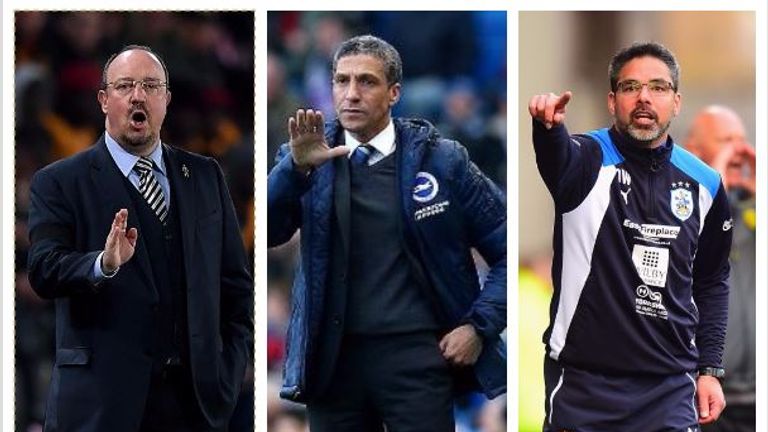 skysports rafa benitez chris hughton david wagner 3968843