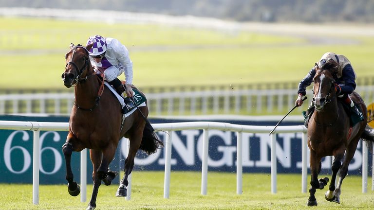 Verbal Dexterity is out of the Dewhurst