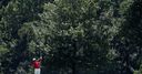 Asia-Pacific Amateur Championship