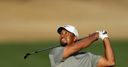 Tiger paired with Thomas