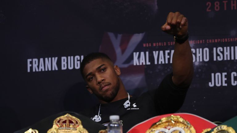 'AJ' hopes to remain on course for unification clashes next year 