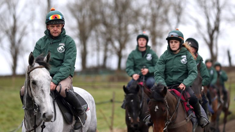 Blaklion (right) and Bristol De Mai (left) lead the other horses along the gallops during the stable visit