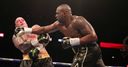 Haye: Whyte's knockout night