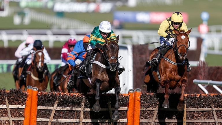 Buveur D'Air: On target for Aintree after this Cheltenham win