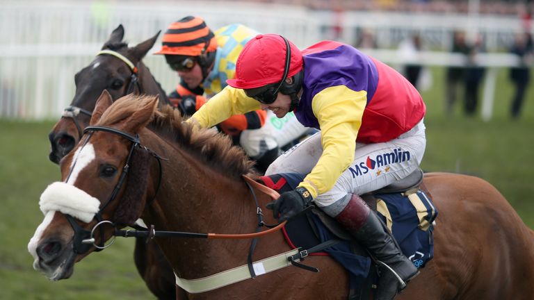 Native River: Highest-rated jumps horse of the 2017/18 season