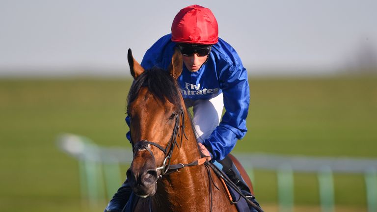 Old Persian: In action at Newmarket on Saturday