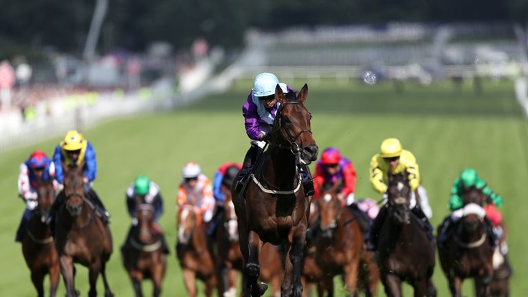 Dash Of Spice: Runs in the John Smith's Cup