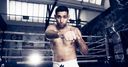 New boxing season is coming...