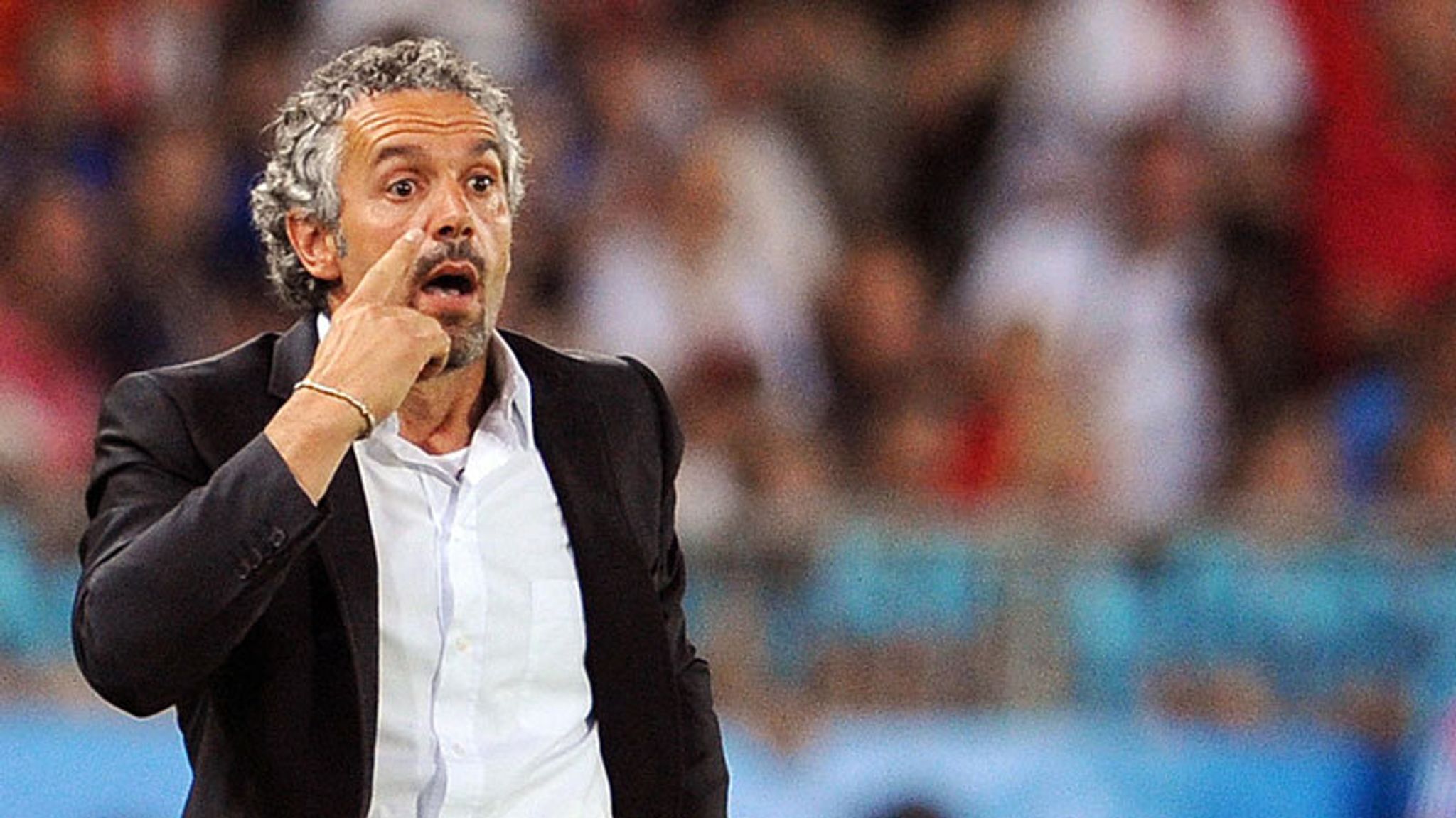 Donadoni axed as Italy boss | Football News | Sky Sports