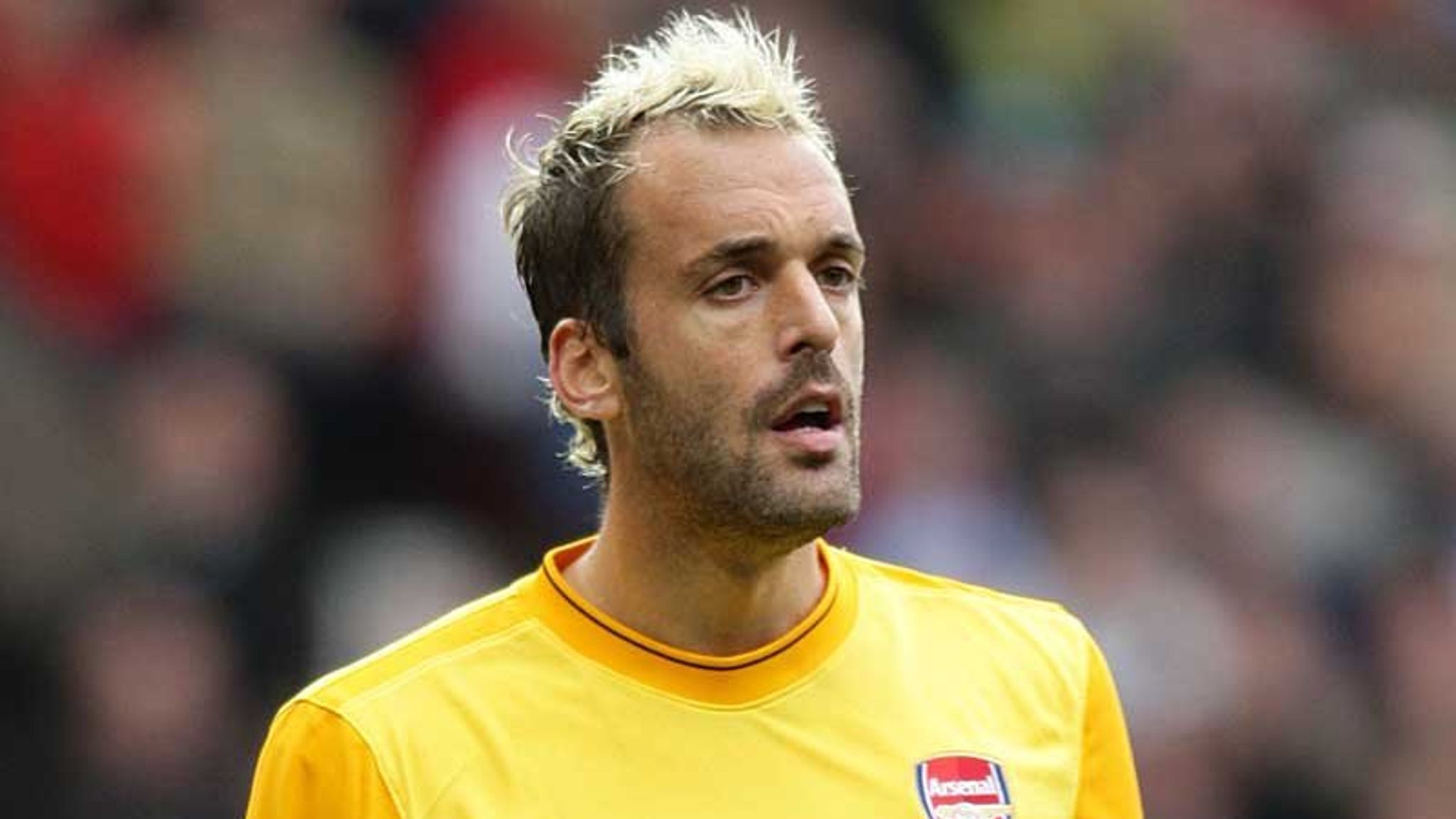 Almunia hails Wenger skills | Football News | Sky Sports