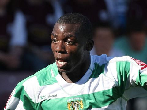 Image of Williams: Bees exit