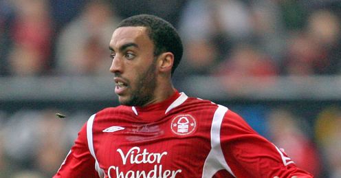 magpies move excites perch