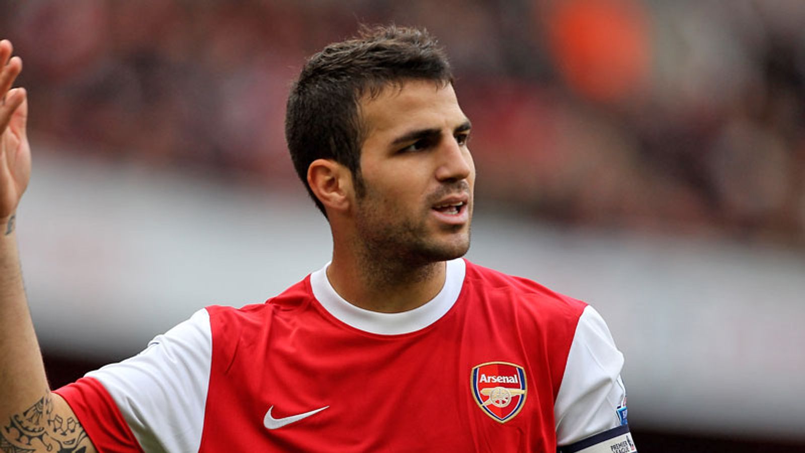 Fabregas 'clear of injury' | Football News | Sky Sports, image size:1600x900