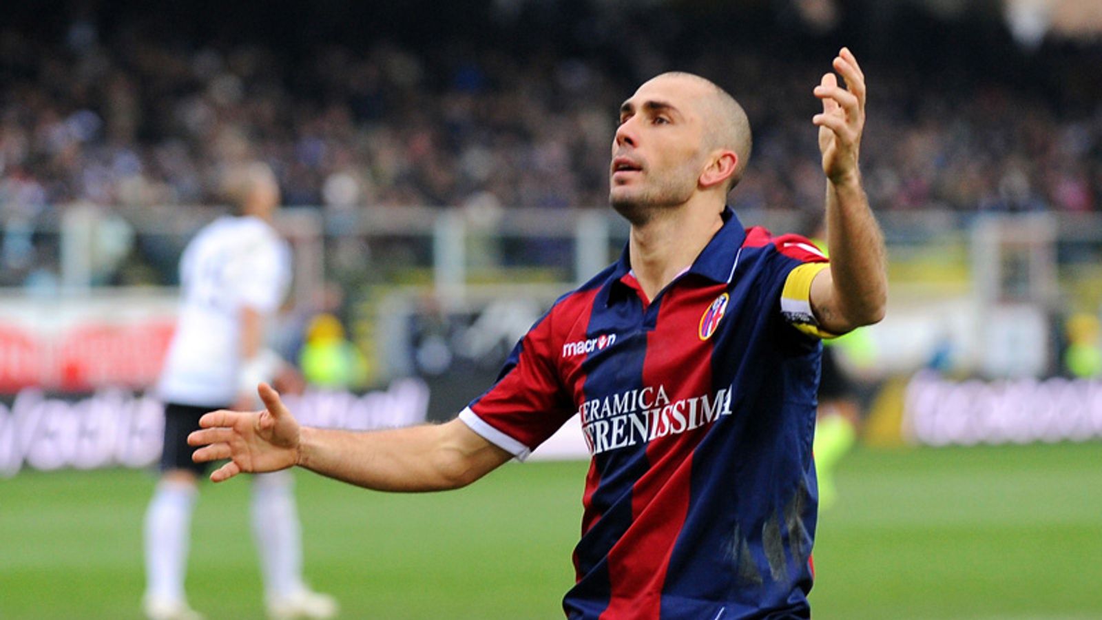 Annual report of the Board of Regents of the Smithsonian Institution, image size:1600x900