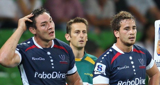 Delve: Back for the Rebels