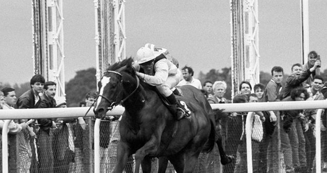 Mtoto: Winning the King George at Ascot