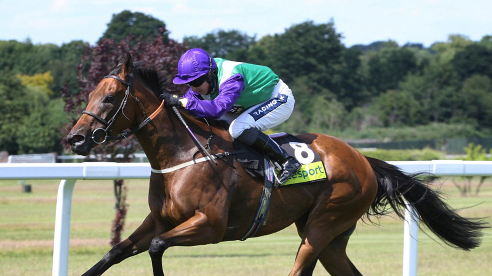 Margot Did set to retire Racing News Sky Sports