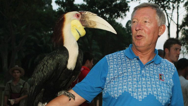 Toucan play at that game: Sir Alex on a visit to Shanghai Zoo during United's pre-season tour of China.