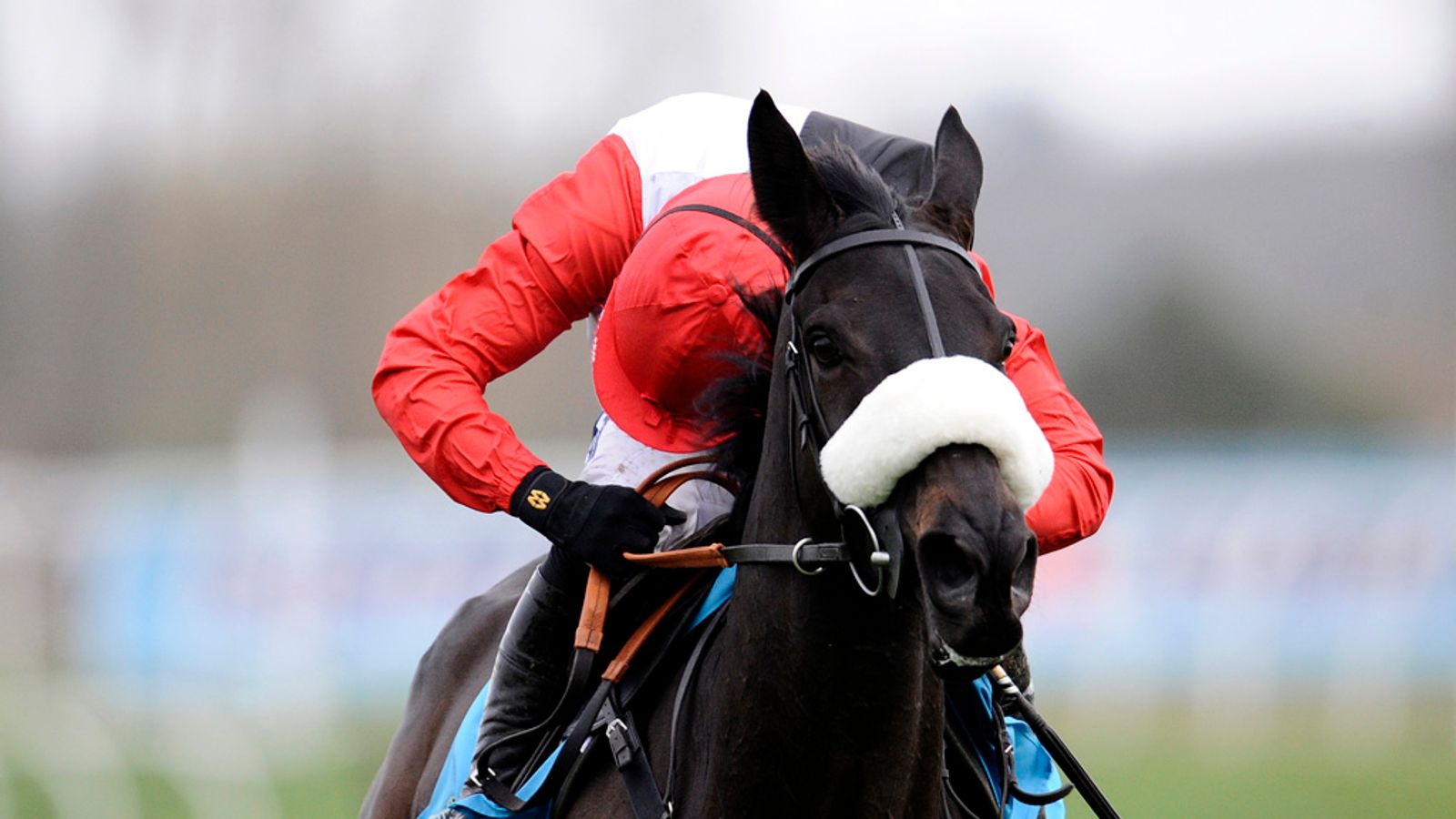 Six rivals for Big Buck's | Racing News | Sky Sports