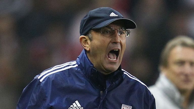Tony Pulis: The Stoke boss has been thrilled with the contribution of defenders Wilkinson and Wilson