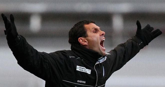 Gus Poyet: Brighton boss is considering signing Habib Habibou following the African striker's trial