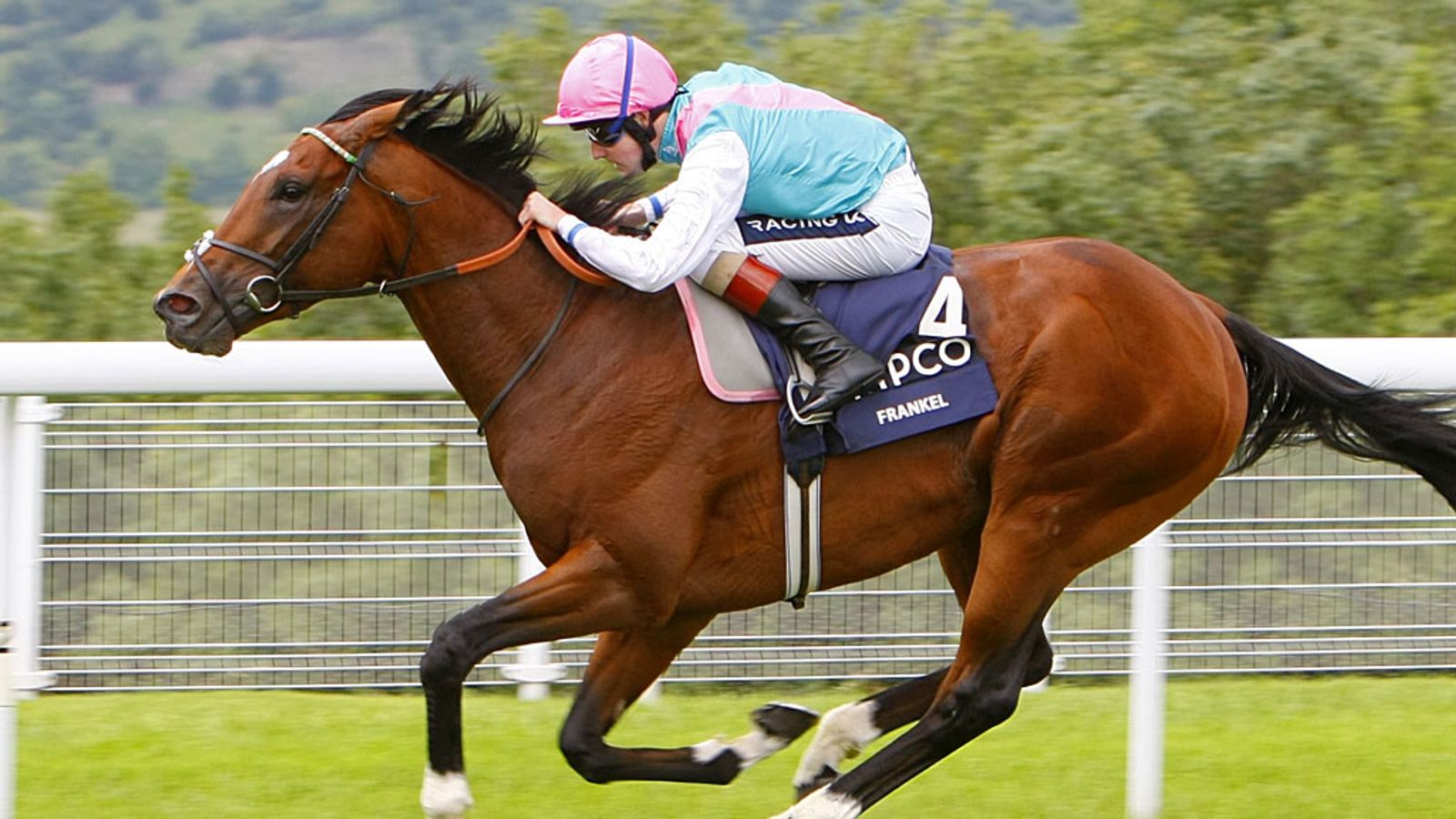 Frankel among Eclipse decs | Racing News | Sky Sports