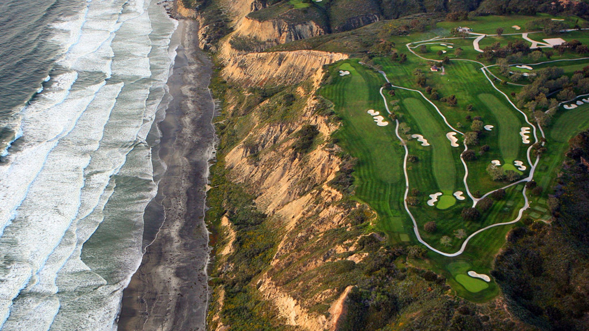 torrey pines jordans