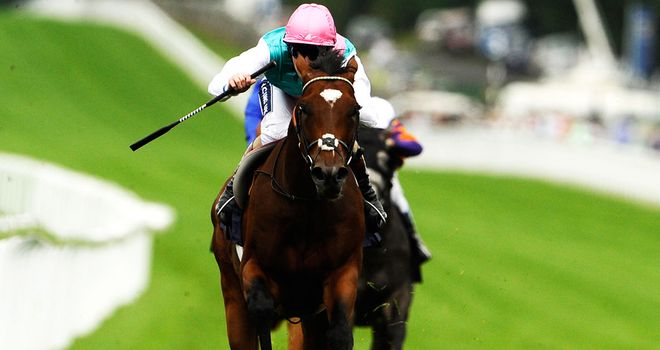 Frankel: Worked well at Newmarket and looks all set to run in the Lockinge