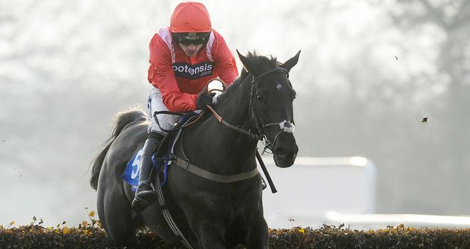 Sanctuaire: Working well ahead of his big Sandown clash with Sprinter Sacre