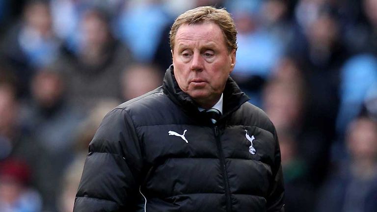Harry Redknapp: Milan Mandaric believes Spurs boss is the best man for the job