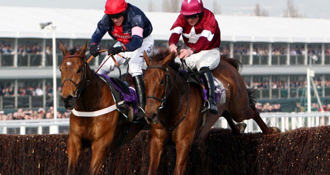 First Lieutenant (R): Will miss Hennessy Gold Cup at Newbury on December 1.