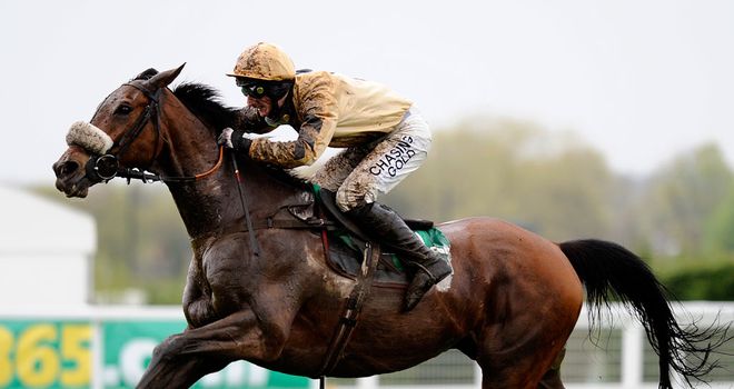 Tidal Bay: Heads the weights for the Hennessy Gold Cup