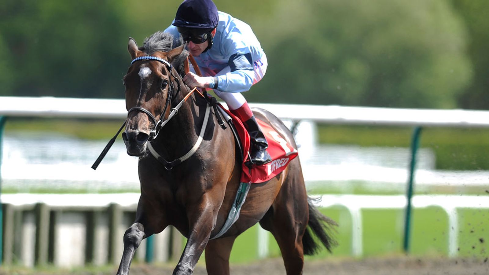 Vow exciting Murtagh | Racing News | Sky Sports