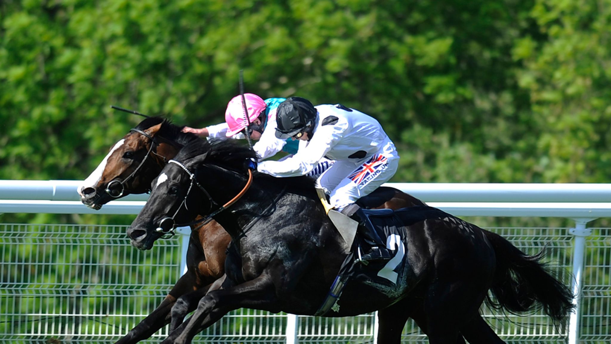 Fanshawe's Dandino delight | Racing News | Sky Sports