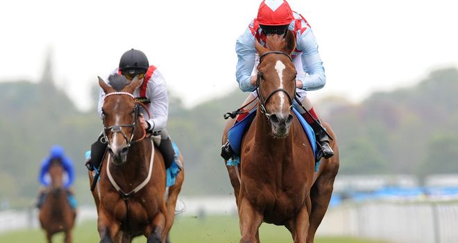 Red Cadeaux: Given Japanese assingment