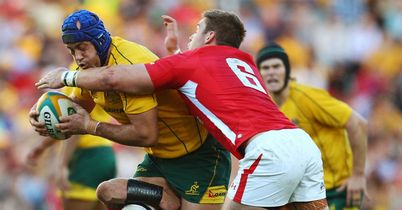 Wales flanker Dan Lydiate attempts to stop Nathan Sharpe