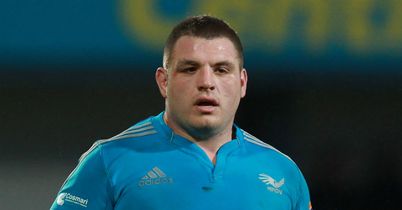 Fabio Staibano: Will play for Wasps in the Premiership next season