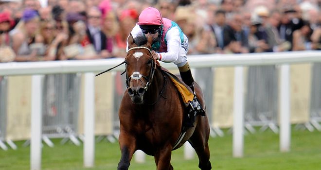 Frankel: Likely to head to Goodwood next before going up in trip at York