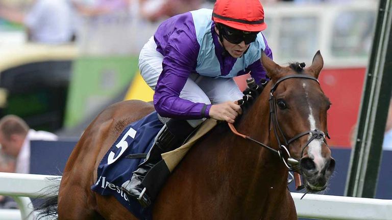 Knight Riders Racing Team Knight Rider | Racing News | Sky Sports
