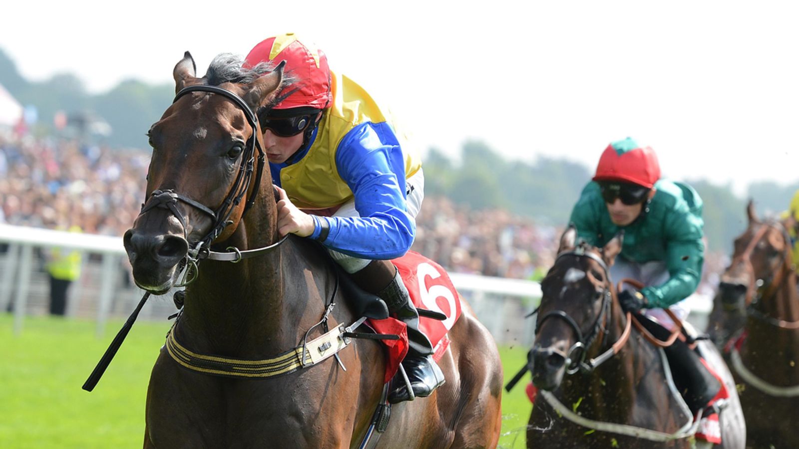 Plans fluid for Gordon Lord Byron | Racing News | Sky Sports