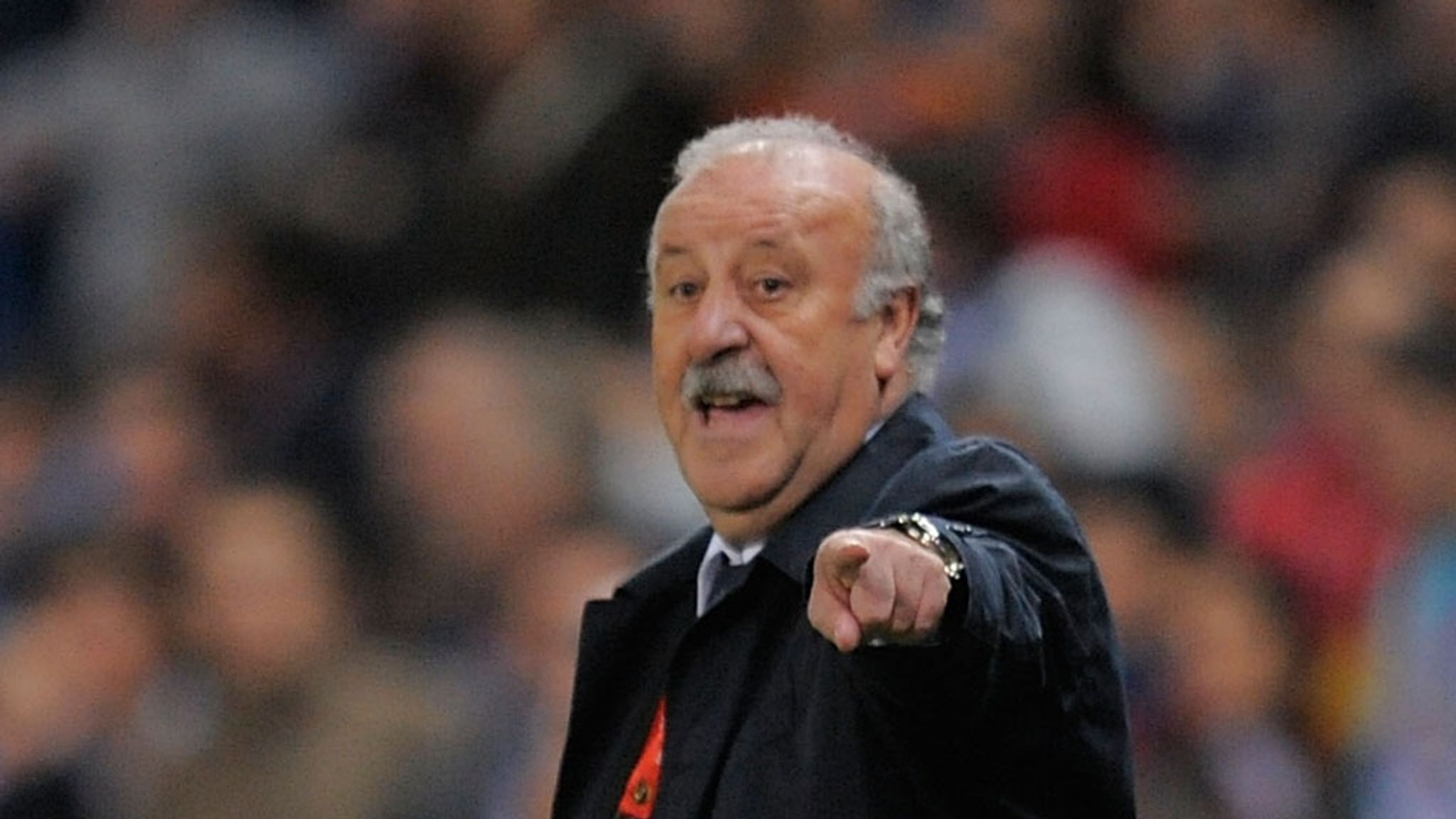 Vicente del Bosque hails Spain after friendly win over Panama ...