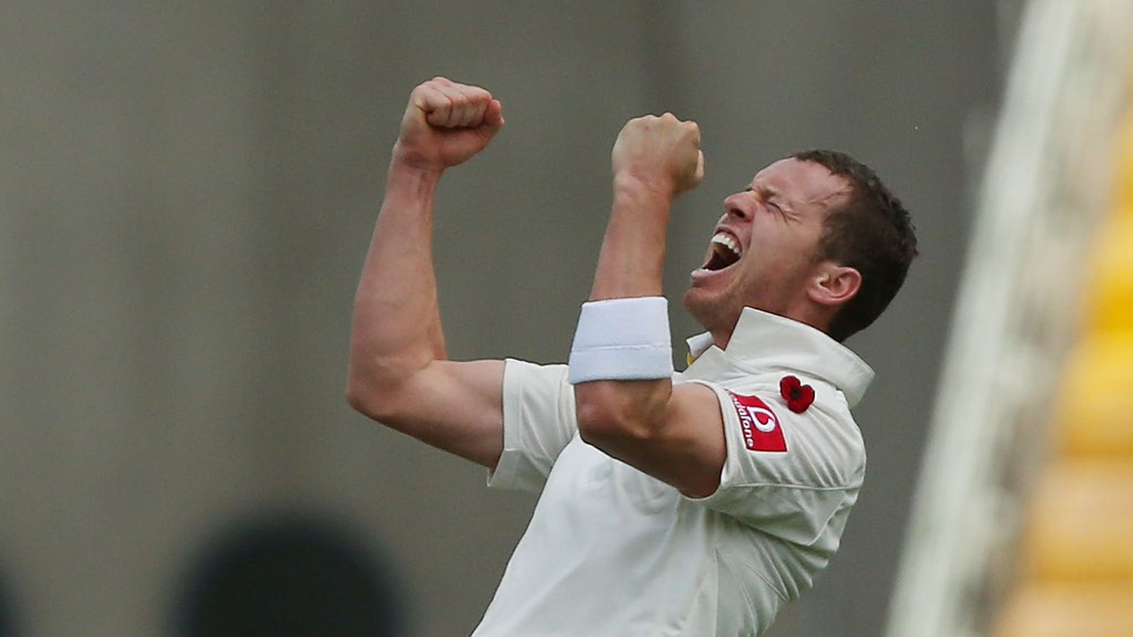 Peter Siddle expects to be fit for Australia's third Test against South ...