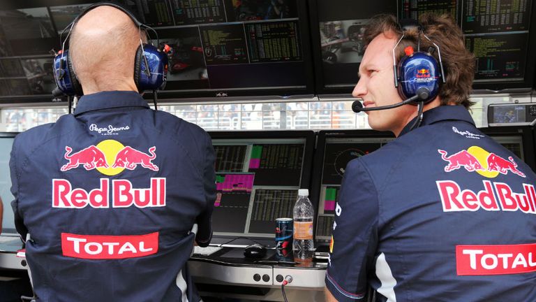 Red Bull chiefs Newey and Horner have welcomed the new tie-up