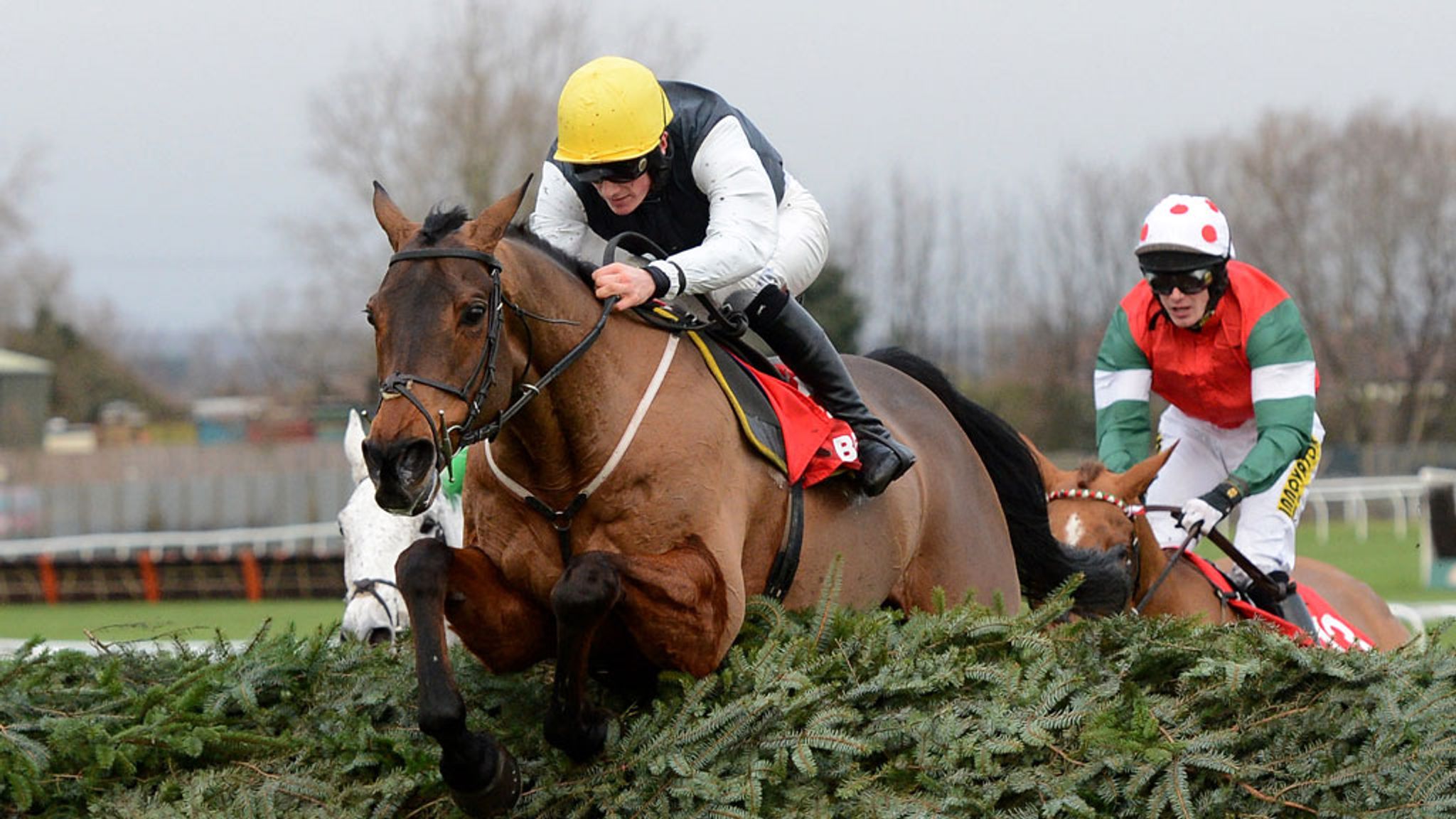 Bud Blooms Racing News Sky Sports