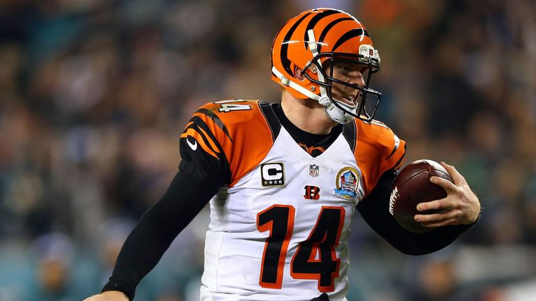 Nfl outlet 2013 season