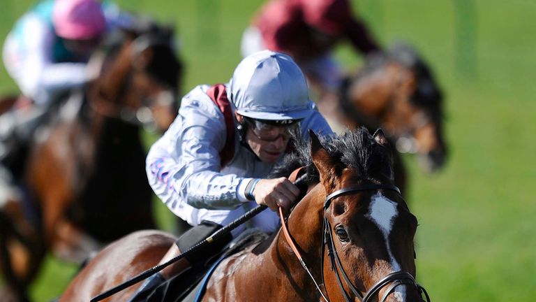 Toronado: Set to wear a tongue-tie