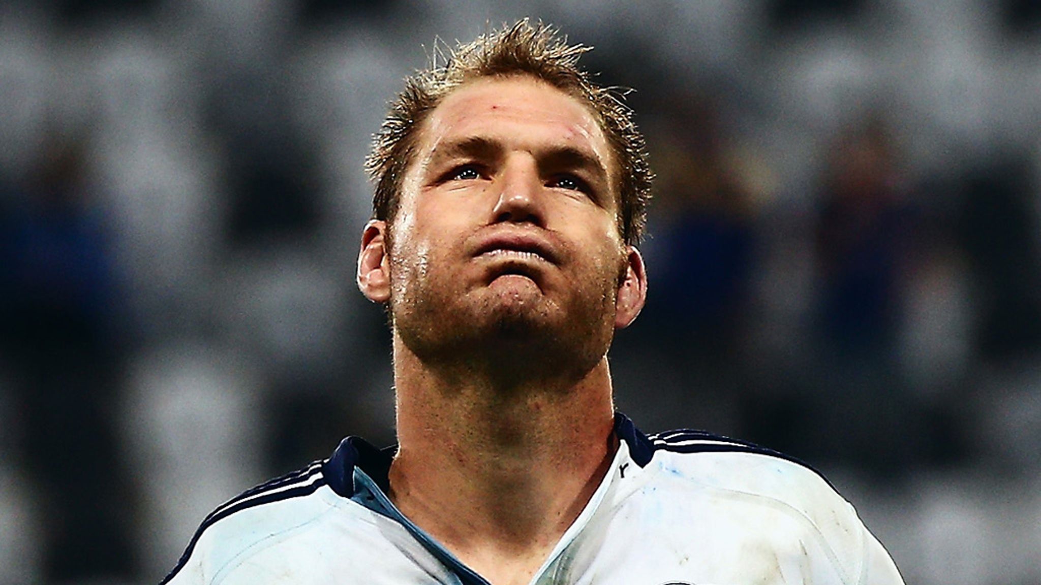 European champions Toulon sign All Blacks lock Ali Williams | Rugby ...